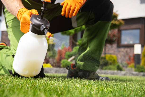 Best Affordable Pest Control Services  in Claremore, OK