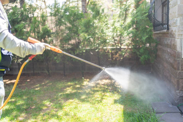 Best Flea Control Services  in Claremore, OK