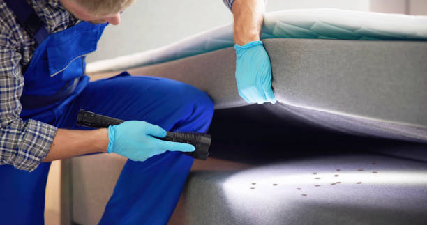 Best Affordable Pest Control Services  in Claremore, OK