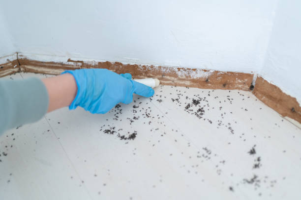 Best Pest Inspection Near Me  in Claremore, OK